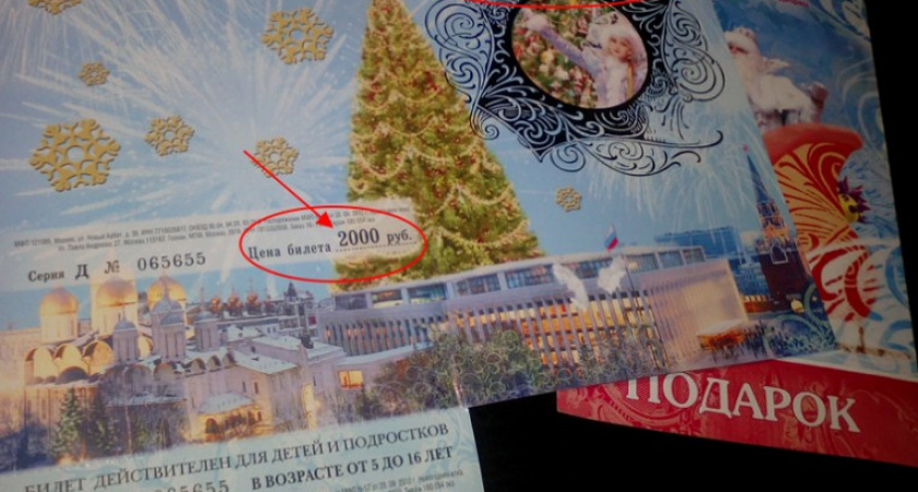 Жителей Владимирской области предупредили о мошенниках, наживающихся на подготовке к Новому году
