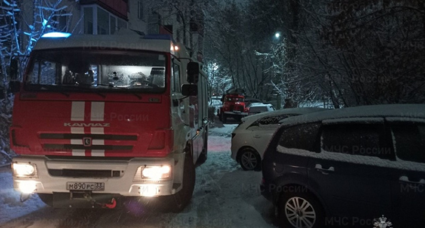 Во Владимире из горящего многоквартирного дома спасли 4 человек 