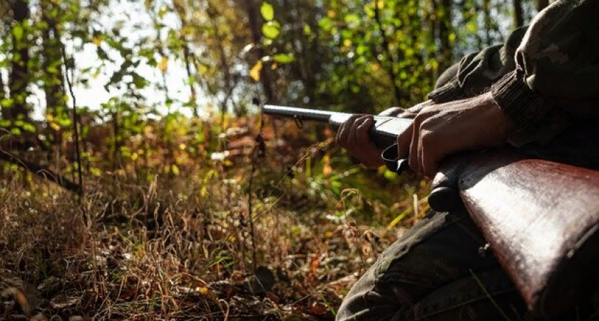 В Вязниковском районе мужчина застрелил молодого человека во время охоты на лосей 