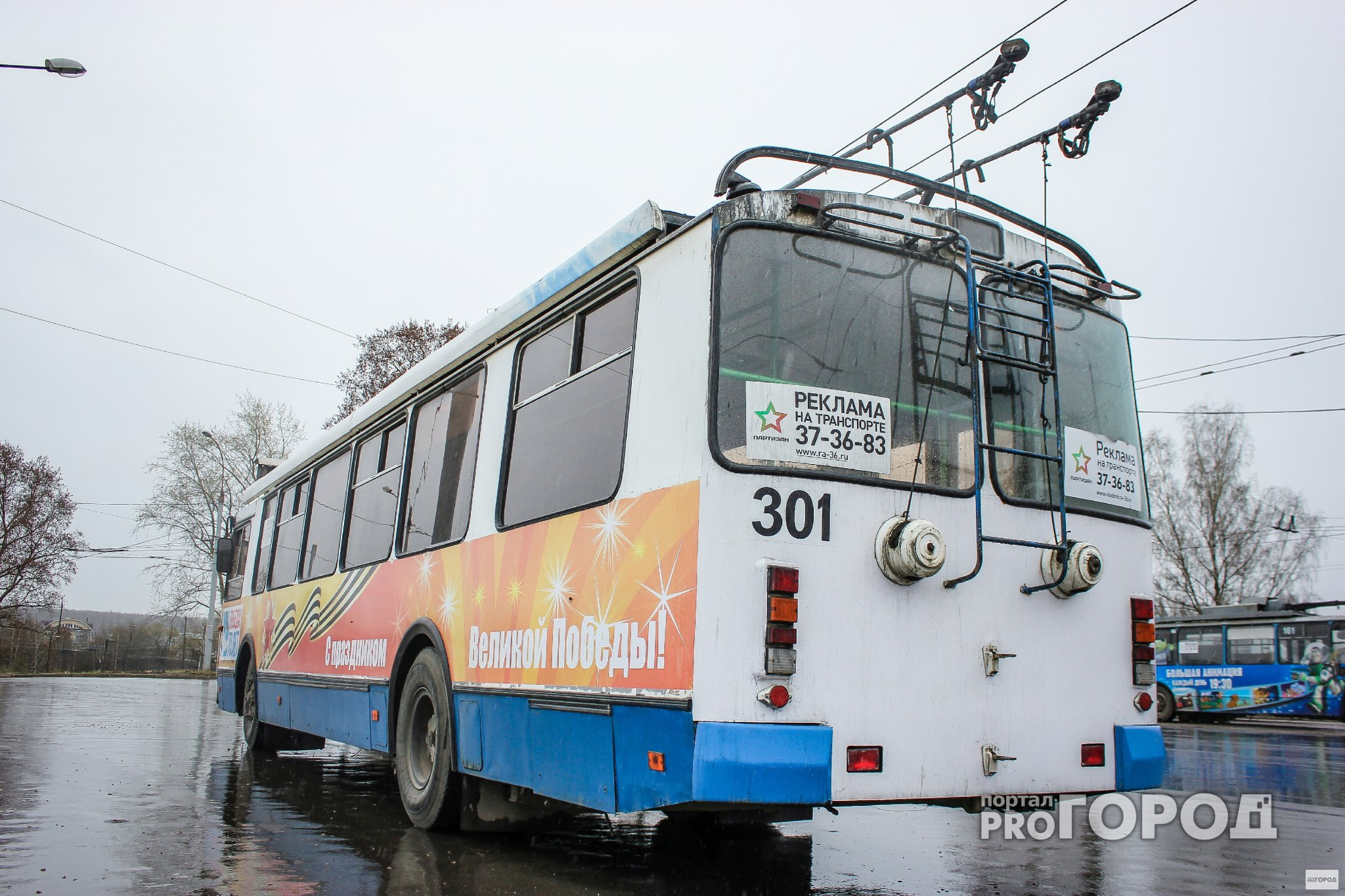 Владимирский суд изменил приговор водителю троллейбуса, по вине которого погибла пассажирка