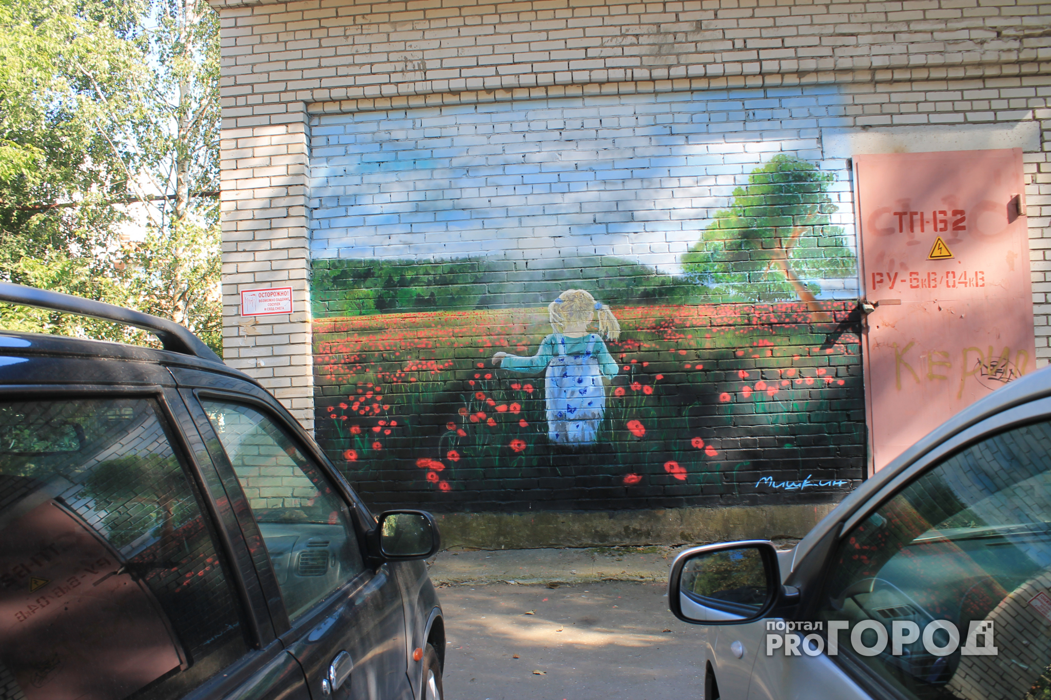 На нескольких улицах Владимира появились необычные картины-граффити