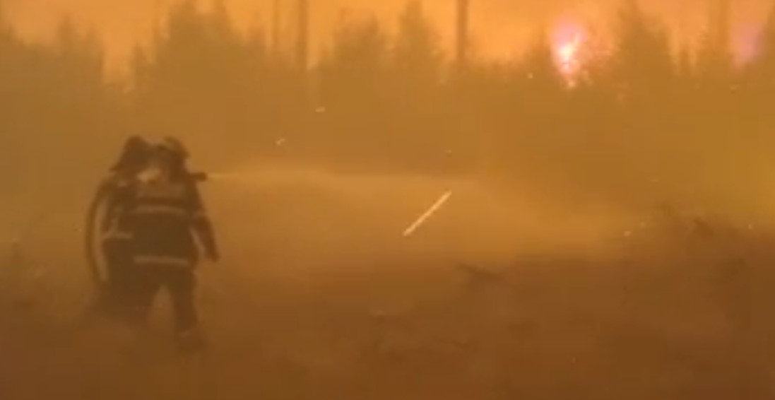 "Мы оказались в огненном кольце": владимирские пожарные о тушении заповедника в Мордовии