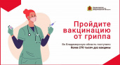 Жителей Владимирской области призывают пройти вакцинацию от гриппа и нового штамма COVID-19