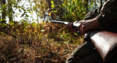 В Вязниковском районе мужчина застрелил молодого человека во время охоты на лосей 