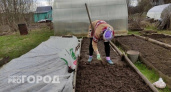 "Введут полный запрет": владельцы дач и огородов в России потрясены новым жестким правилом