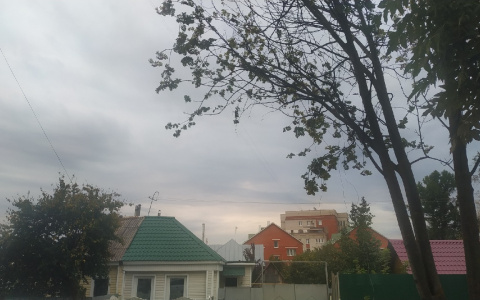 Синоптики рассказали, какую погоду ждать владимирцам 4 октября