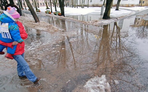 Во Владимире ожидается череда дождей