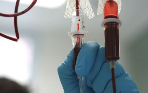 В России коронавирус начали лечить переливанием крови переболевших
