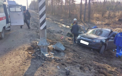 Смертельная авария во Владимирской области: легковушка протаранила ЛЭП