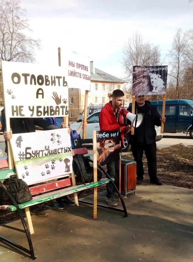 Владимирские зоозащитники провели акцию против живодёров