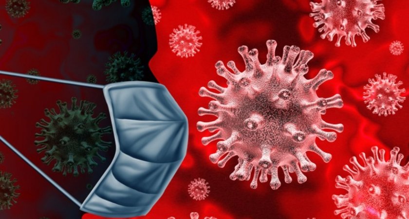 За сутки во Владимирской области заболели коронавирусом 2247 человек