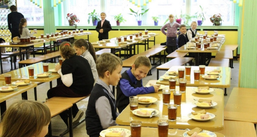 Детей мобилизованных владимирцев собираются бесплатно кормить в школах