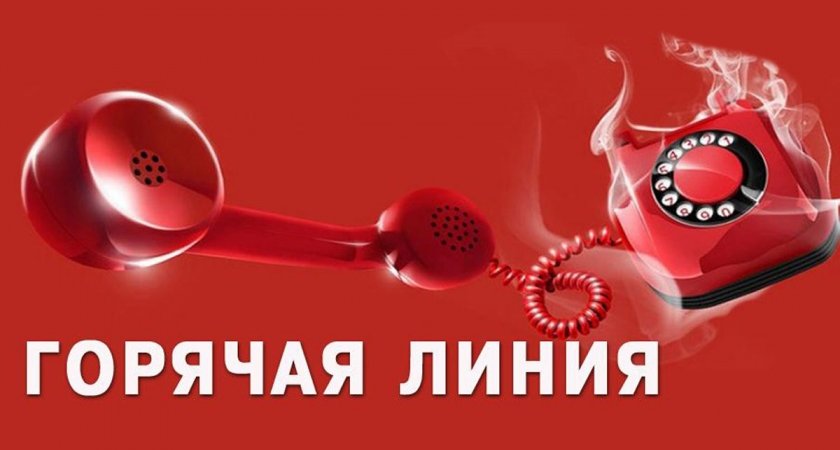 Во Владимирской области начала работу "горячая линия" по правам детей