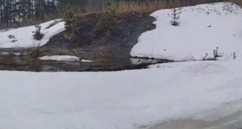Экологическая катастрофа: во Владимирской области в Клязьму текут нечистоты из канализации