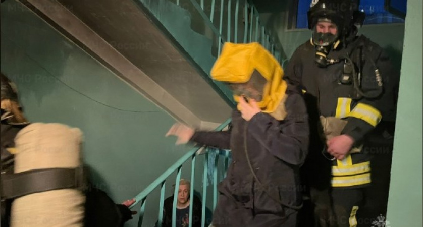 Пожарные спасли 6 человек из задымленного подъезда на улице Юбилейной во Владимире