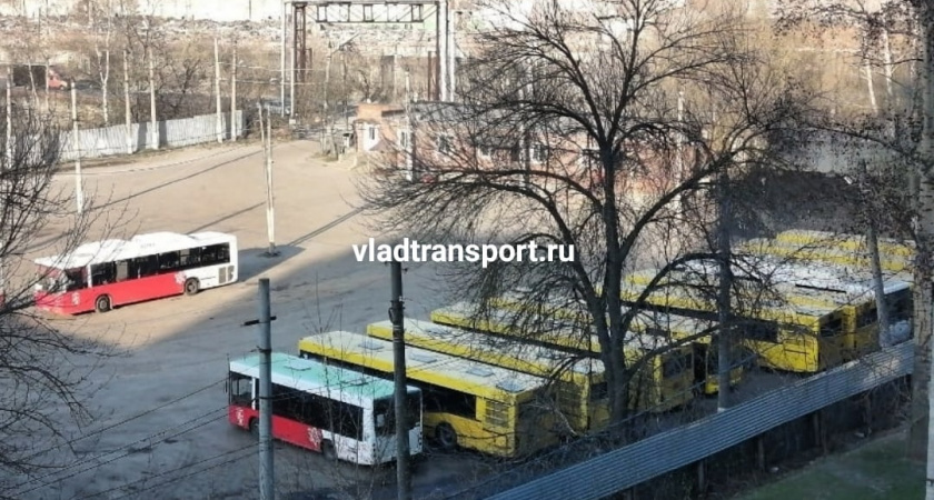 Во Владимире сменились собственники у одного из перевозчиков,уже пригнали 20 автобусов