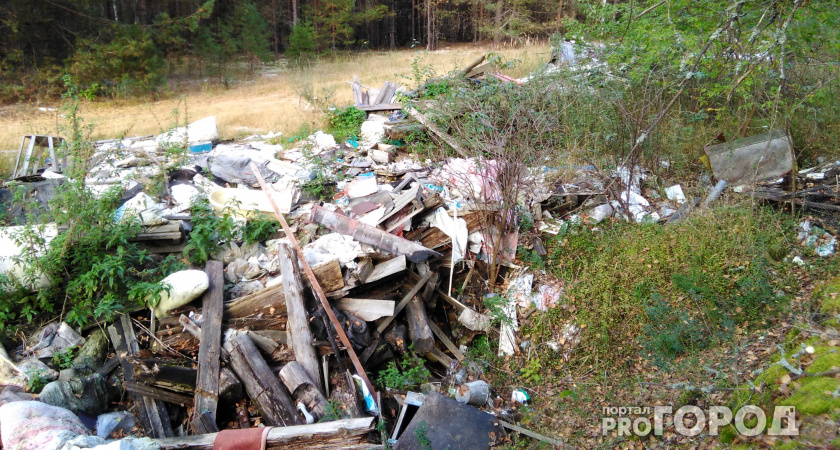 Во Владимирской области ужесточили штрафы за мусор в неположенном месте