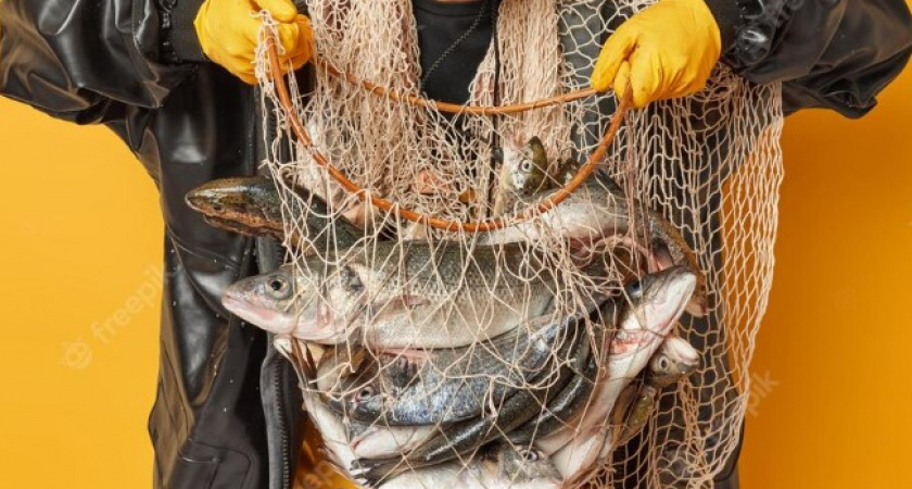 В особо охраняемой природной территории Владимирской области поймали рыбаков-браконьеров