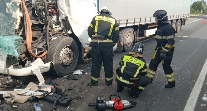 На М-7 в Вязниковском районе столкнулись два грузовика