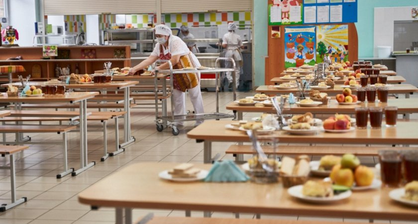 Во Владимирской области заработала "горячая линия" по вопросам школьной формы и питания детей
