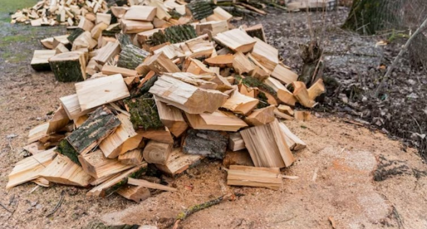 Заготовителей леса во Владимирской области оштрафовали за хлам
