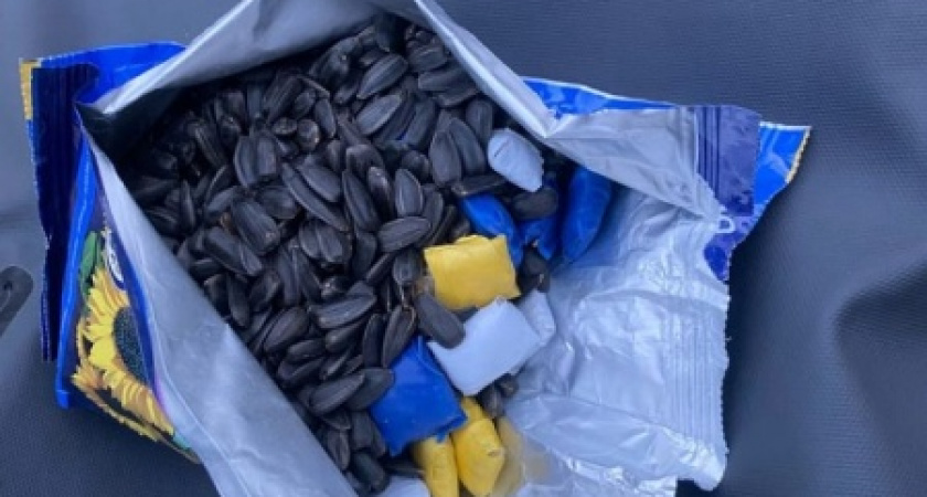 Во Владимирской области в пакете из-под семечек нашли запрещенные вещества