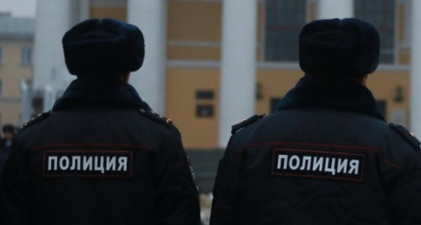 Владимирец в новогоднюю ночь подрался с полицейским, чтобы избежать задержания