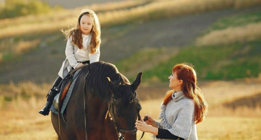 За падение девочки с лошади в Муроме осудили директора центра конного спорта