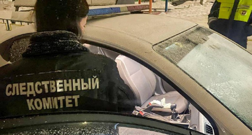 Пьяная автоледи в Гусь-Хрустальном дважды пыталась подкупить полицейских