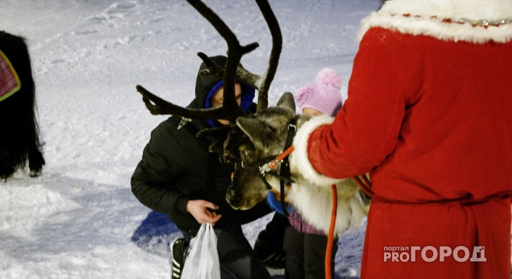 Жителей Владимира просят остерегаться некоторых Дедов Морозов