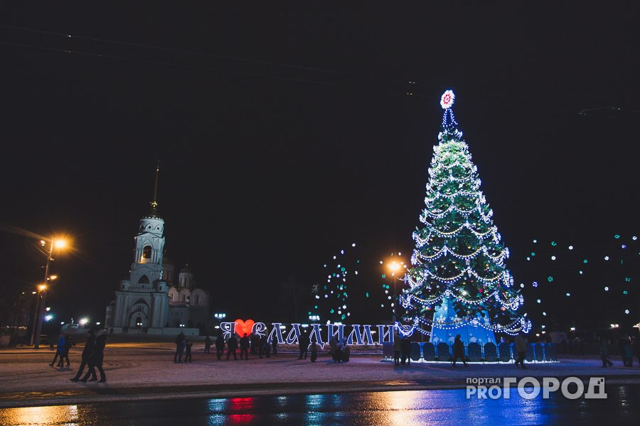 У владимирцев есть последний шанс сделать фото под главной новогодней елкой