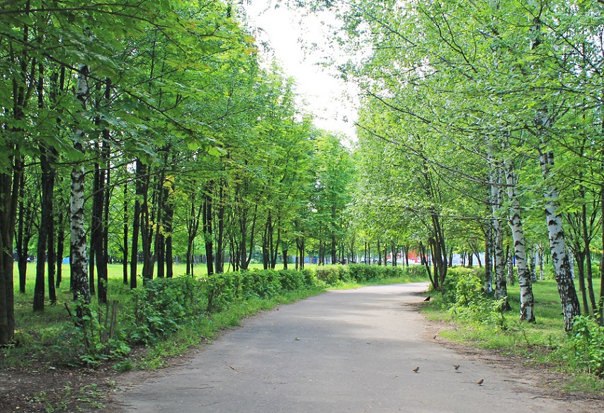 На благоустройство Добросельского парка потратят более 3 миллионов рублей