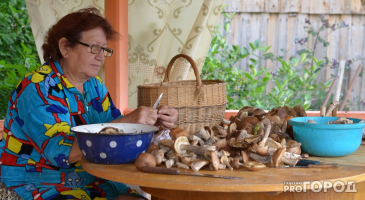 Россиянам запретили собирать грибы в ведра и пакеты