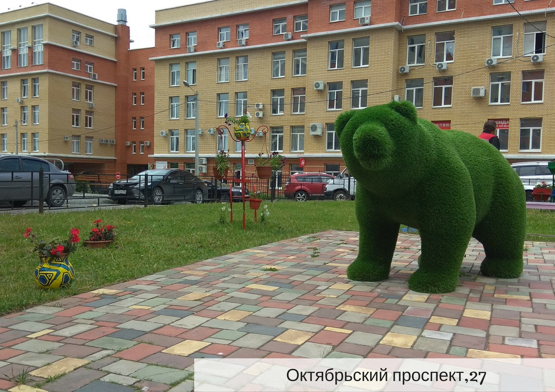 В одном из владимирских дворов завелся зеленый медведь