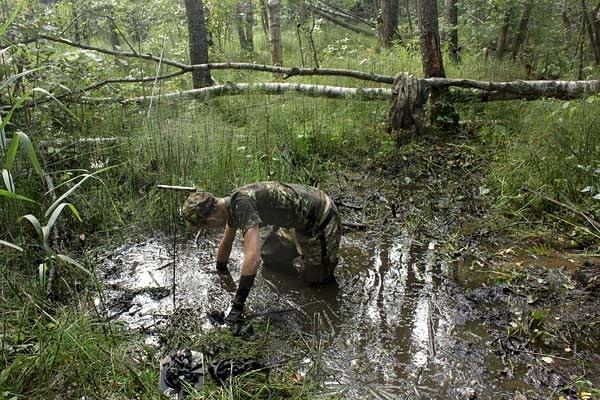 Владимирец во время прогулки по лесу застрял в болоте и чудом выжил