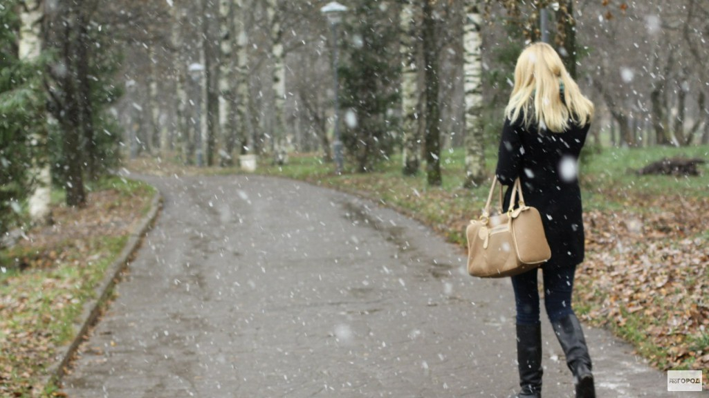 Синоптики прогнозируют дождь со снегом во Владимире
