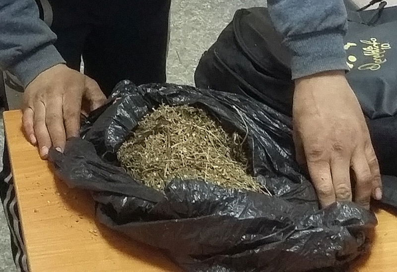 В Суздале полицейские поймали двух «барыг» с мешком марихуаны
