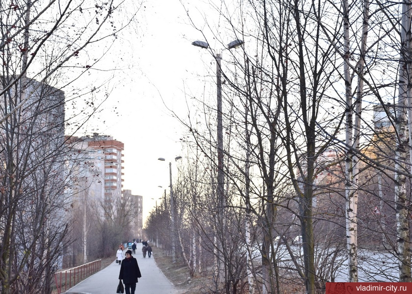 Во Владимире построят новые участки сетей уличного освещения: где именно