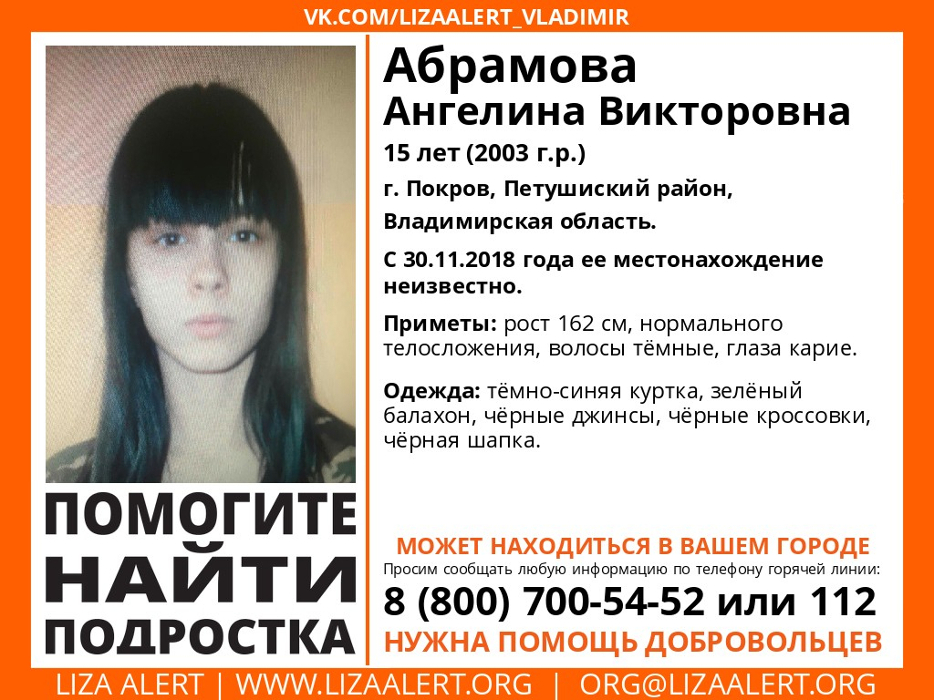Во Владимирской области без вести пропала 15-летняя девушка