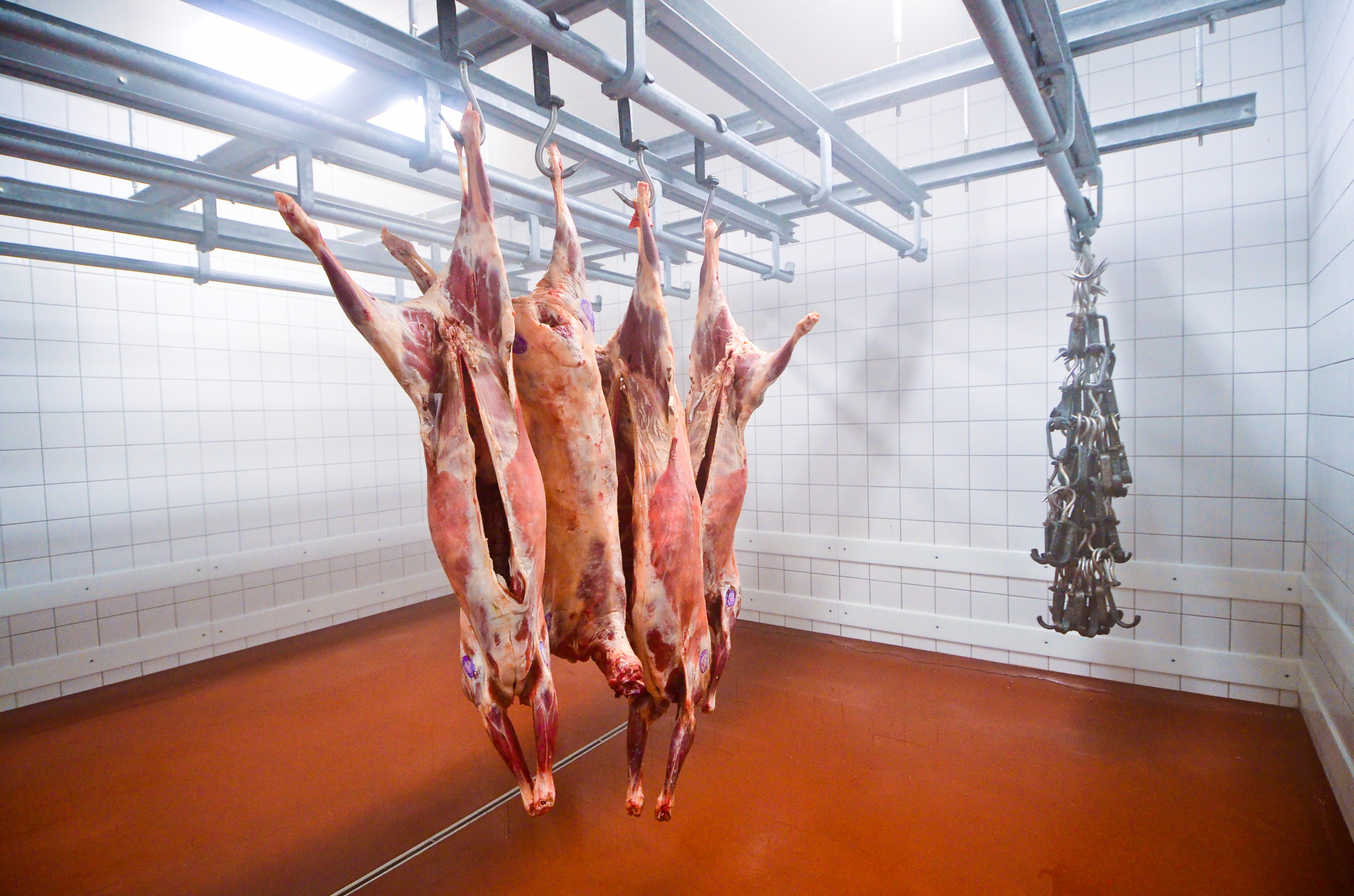 Обнаружены нарушения при производстве мяса под Юрьев-Польским