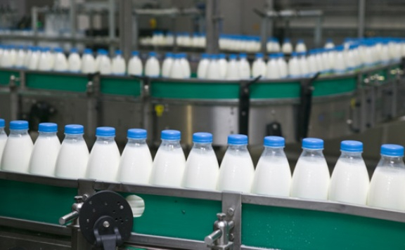 Молокосодержащая продукция с добавлением растительных жиров «рассекречена»