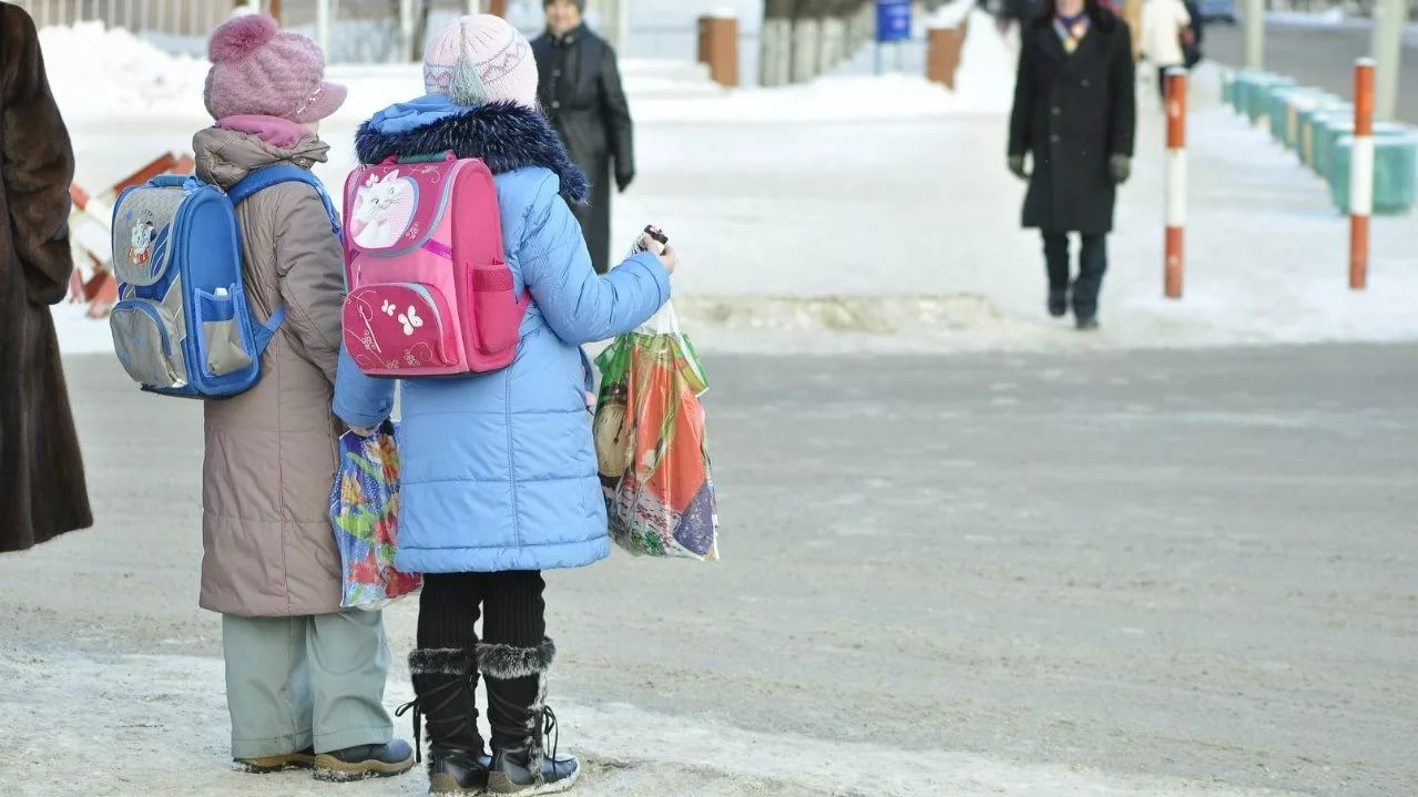 Родители владимирских школьников просят льготный проезд для своих детей