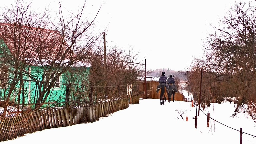 Верхом на лошади: полиция с поличным поймала банду наркобарыг во Владимире (Видео)