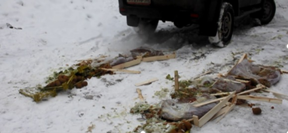 Пустили под бульдозер: во Владимирской области раздавили 60 кг фруктов