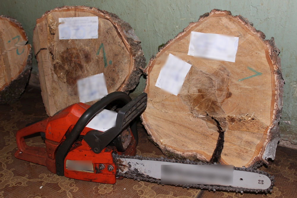 Мужчина, нарубивший дров под Гороховцом, ждет решения суда