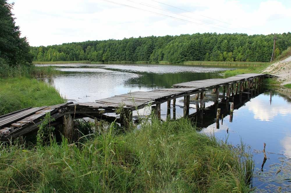 В Селивановском районе может появиться новый национальный парк