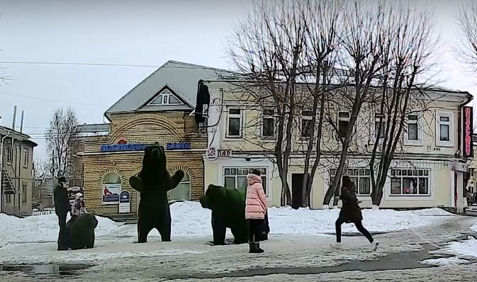 Жительница Мурома решила запрыгнуть на медведя, но просчиталась (видео)
