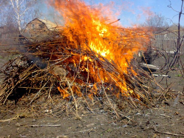 В Киржаче пожилая женщина погибла при попытке сжечь на участке сухие листья