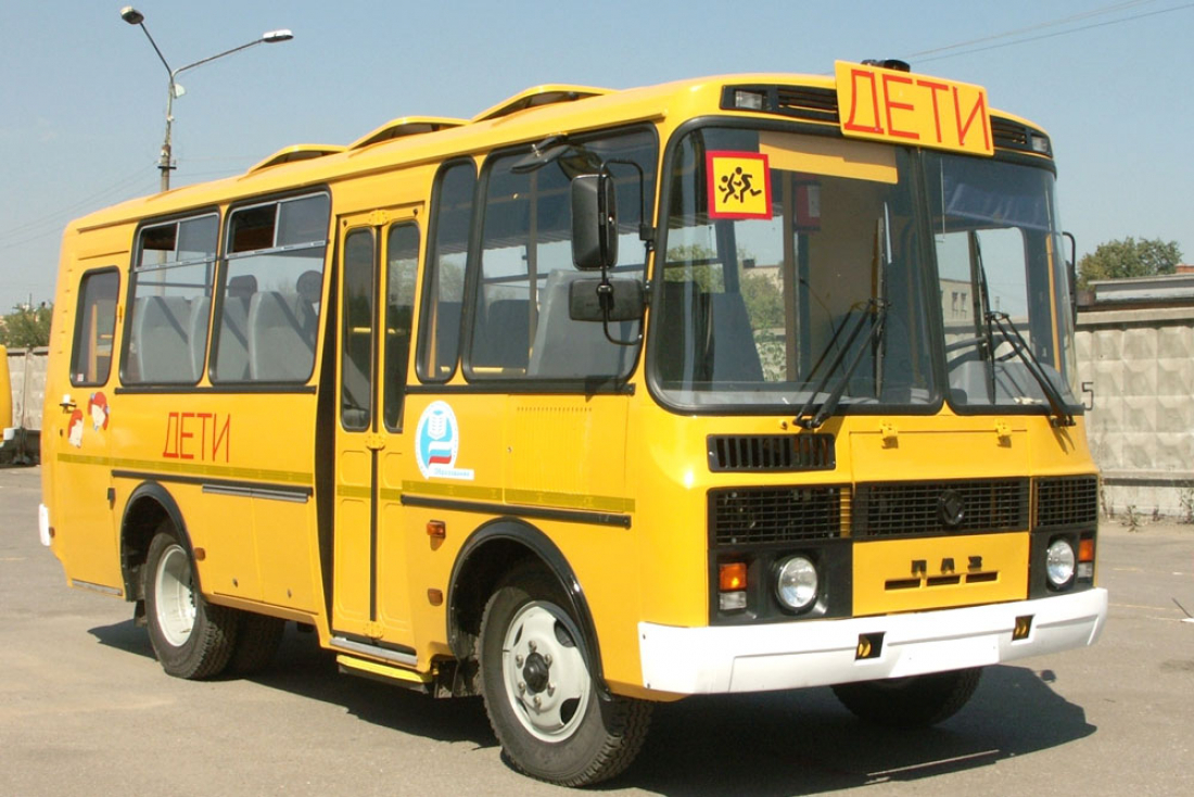 Школы Владимирской области провалили проверку перевозки детей в автобусах