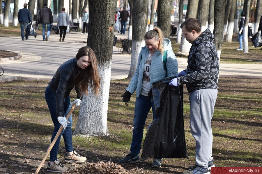 С улиц Владимира за выходные вывезли более 400 тонн мусора